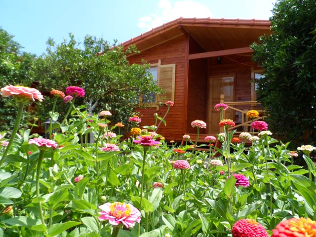 Uur Pansiyon zel Aile Bungalow Odalar ral