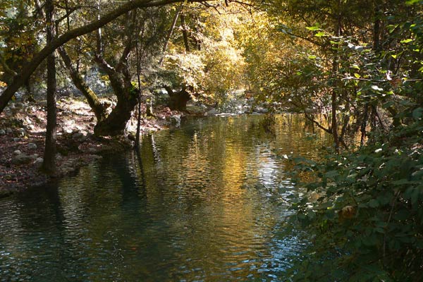 Uur Pansiyon ral Ulupnar Balk Restaurant